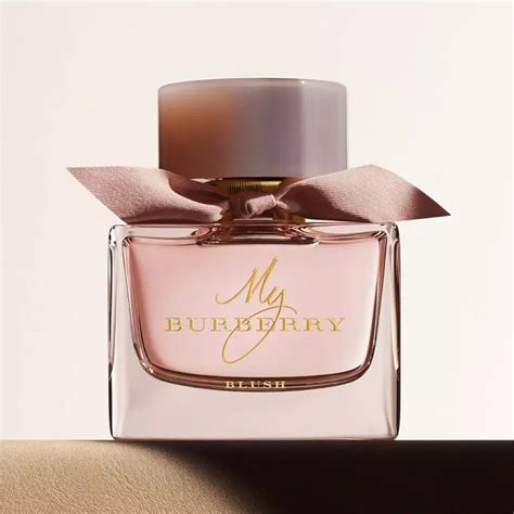 burberry most popular fragrance|most expensive burberry perfume.